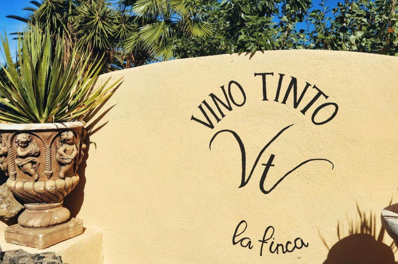 Finca Vino Tinto 5S Icod De Los Vinos Exterior photo